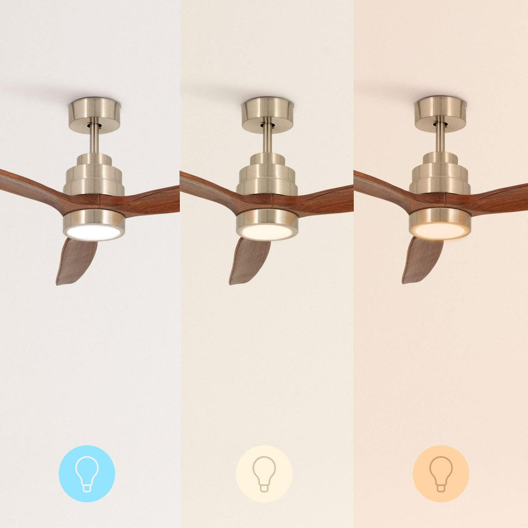 CREATE LED Beleuchtung Kit für WINDSTYLANCE DC