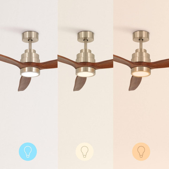CREATE LED Beleuchtung Kit für WINDSTYLANCE DC
