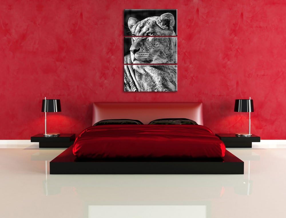Pixxprint Monocrome, prächtige Löwin 3-Teiler Leinwandbild 120x80 Bild auf Leinwand
