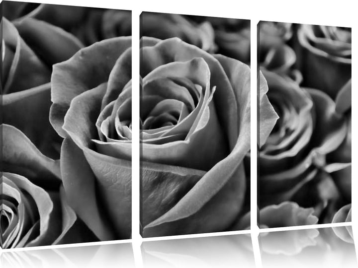 Pixxprint Monocrome, Romantische Rosen 3-Teiler Leinwandbild 120x80 Bild auf Leinwand
