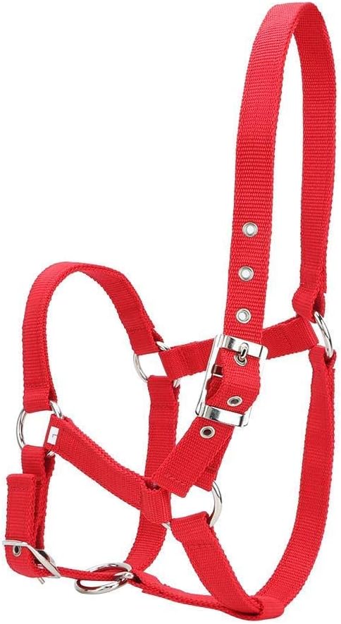 YOUTHINK Horse Halter High Density 6Mm Verdicktes Gurtband Horse Bridle Control Halfter Reitzubehör