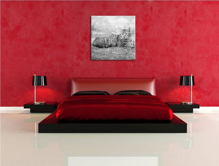 Pixxprint ruhende Katze auf Waldboden schwarz/weiss, Format: 70x70 auf Leinwand, 70x70