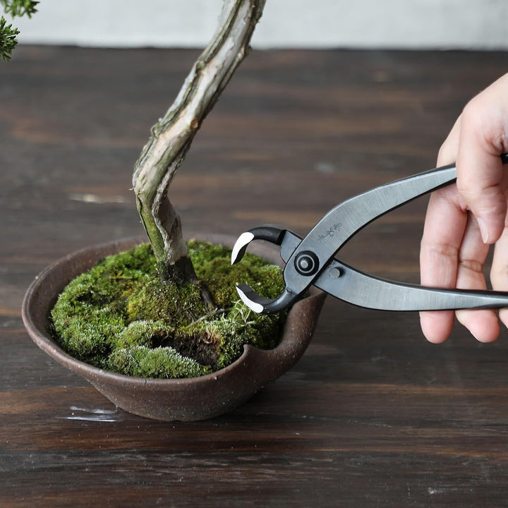 Wazakura Japan handgeschneider Bonsai Wurzelzange 210 mm - Bonsai Werkzeug aus japanischem Kohlensto