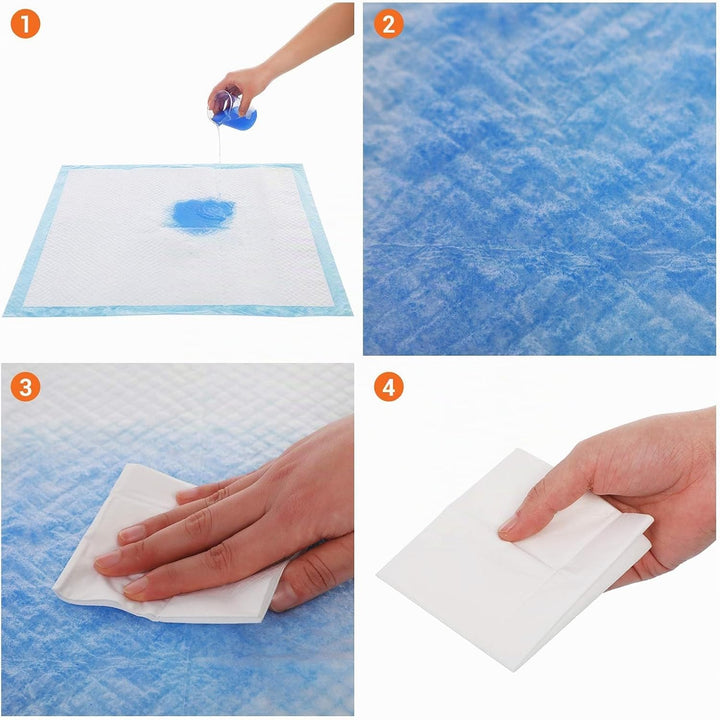 Feandrea Puppy Pads, Welpen-Unterlage, 60 x 60 cm, 100 Stück, blau-weiss PTD60B M (60 x 60 cm), M (6