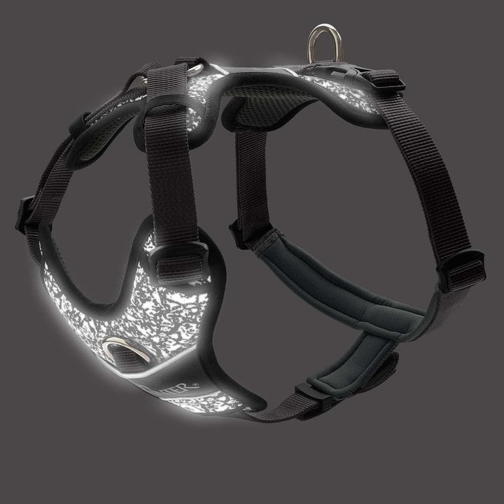 Hunter - Harness Divo Reflect M, black/grey - (68961) schwarz/grau M, schwarz/grau M