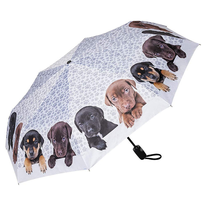 VON LILIENFELD Regenschirm Taschenschirm Welpenquartett Windfest Auf-Zu-Automatik Kinderschirm Stabi