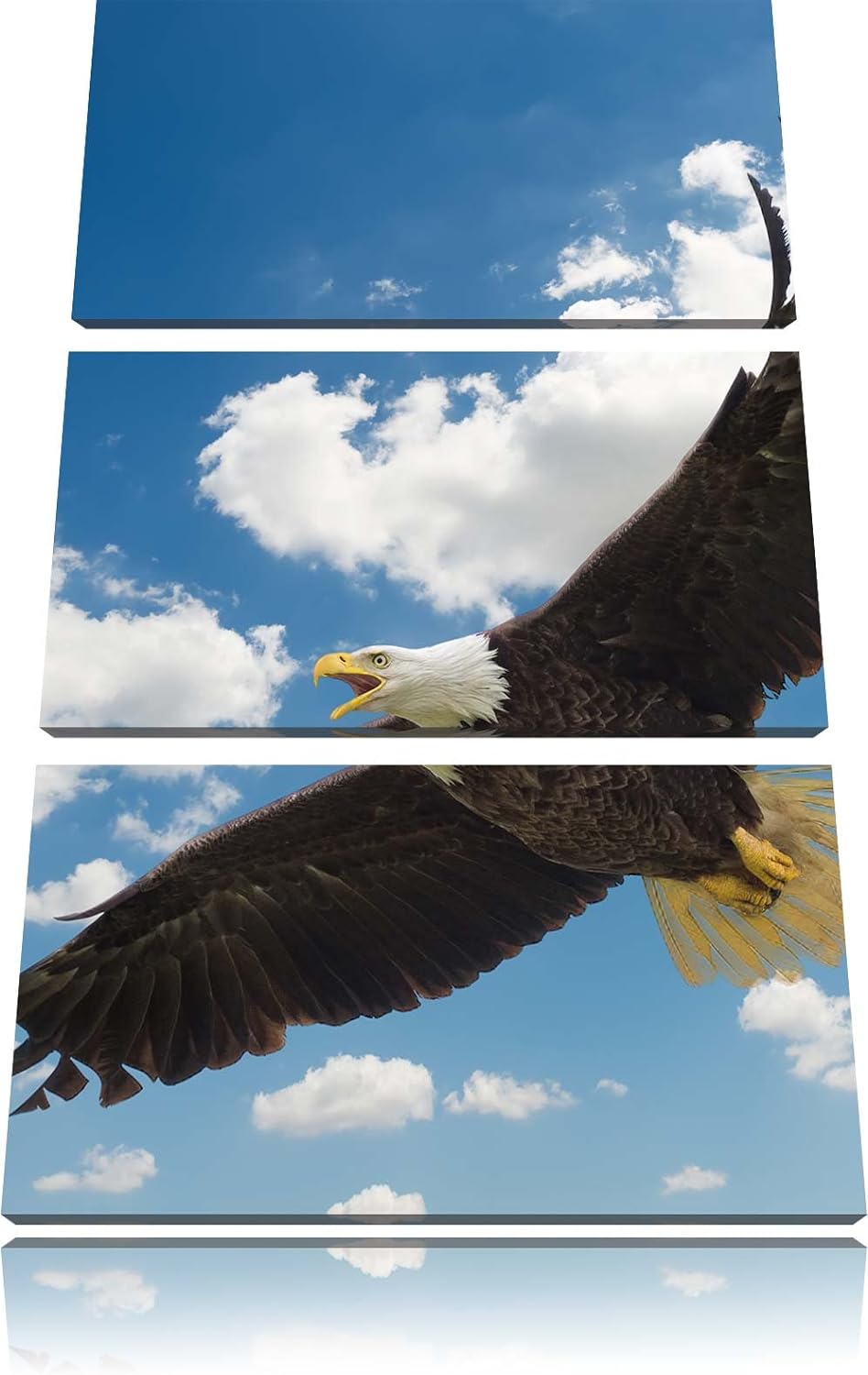 Pixxprint Adler fliegt über Schneebedeckte Berge 3-Teiler Leinwandbild 120x80 Bild auf Leinwand