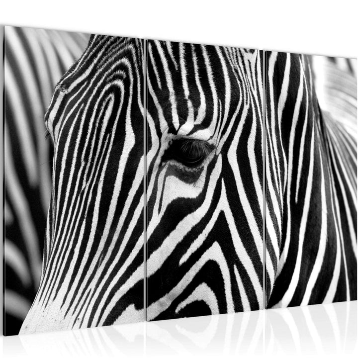 Runa Art Wandbilder Afrika Zebra Bild XXL Wohnzimmer Schlafzimmer Schwarz Weiss Tiere 120 x 80 cm 3