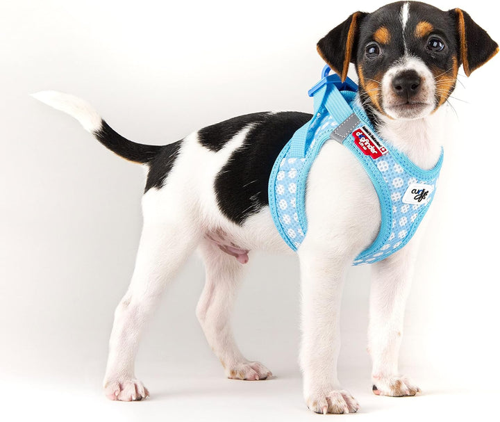 Vest Harness curli Clasp Air-Mesh SkyBlue-Circles 3XS & Leash M, Skyblue-Circles 3XS