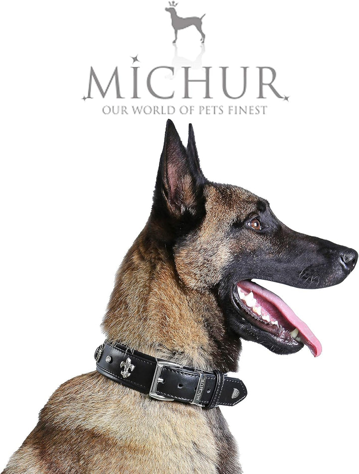 MICHUR EL Pavo Hundehalsband Leder, Lederhalsband Hund, Halsband, Schwarz, Leder, mit Lilien, Strass