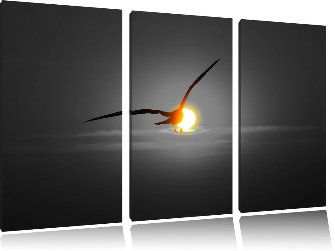 Pixxprint Möwe fliegt in den Sonnenuntergang als Leinwandbild/Grösse: 3 Teilig (120x80) cm/Wandbild/