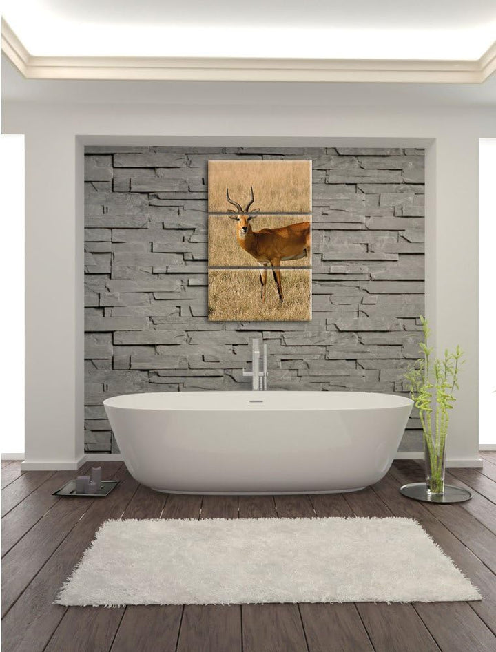 Pixxprint Dorkasgazelle im trockenen Gras als Leinwandbild/Grösse: 3 Teilig (120x80) cm/Wandbild/Kun