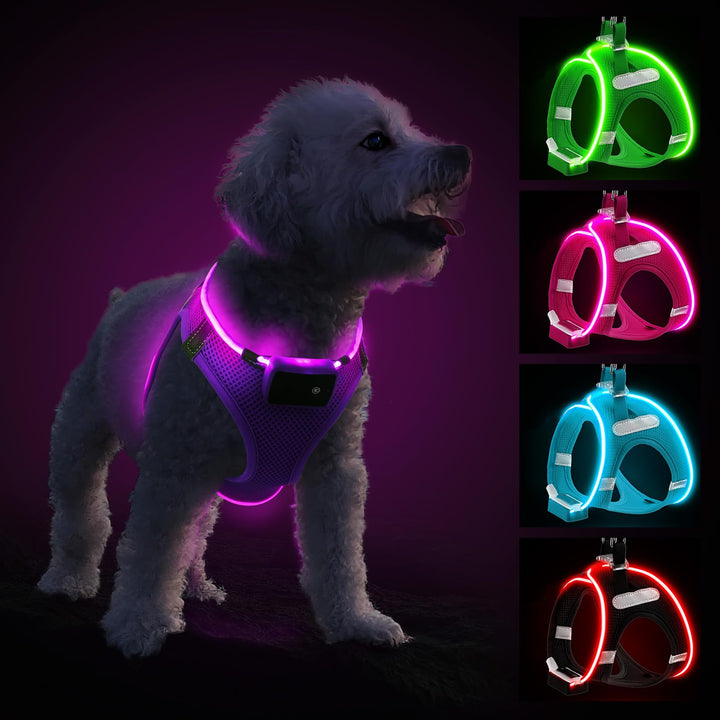 PcEoTllar Hundegeschirr Leuchtend, Leuchtgeschirr LED Aufladbar & Reflektierendes, Beleuchtetes Leuc