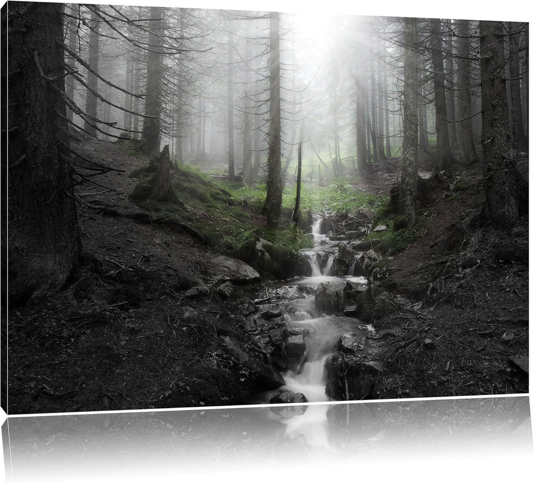 Bach im Wald B&W Detail, Format: 100x70 auf Leinwand, XXL riesige Bilder fertig gerahmt mit Keilrahm