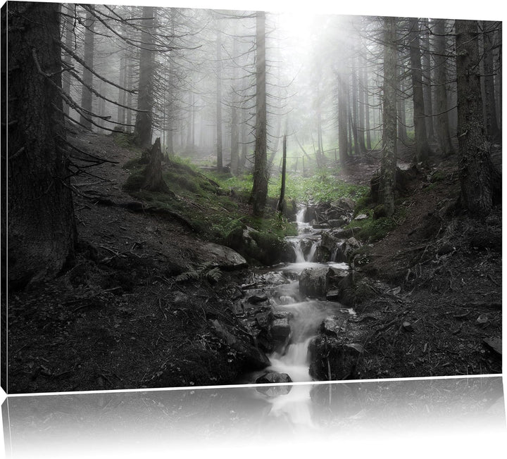 Bach im Wald B&W Detail, Format: 100x70 auf Leinwand, XXL riesige Bilder fertig gerahmt mit Keilrahm