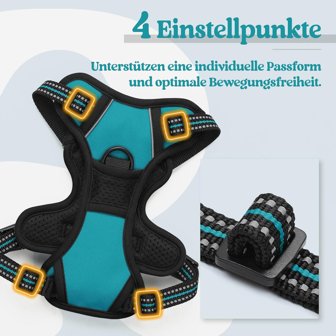 rabbitgoo Hundegeschirr Kleine Hunde, Anti Zug Geschirr mit Kontrolle, No Pull Verstellbar Hundegesc