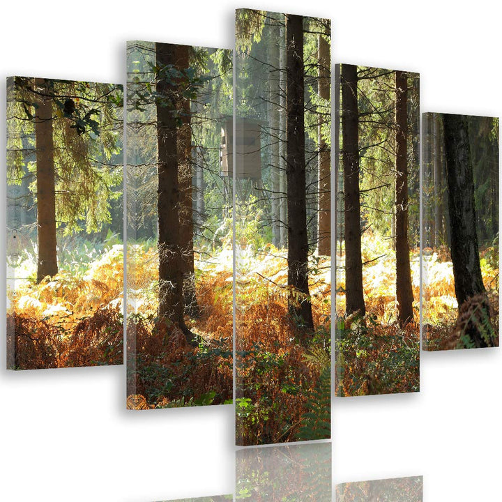 Feeby Wandbild XXL 5 Teilig Natur Leinwandbild Wald Bäume Landschaft bunt 300x140 cm Leinwandbild 30