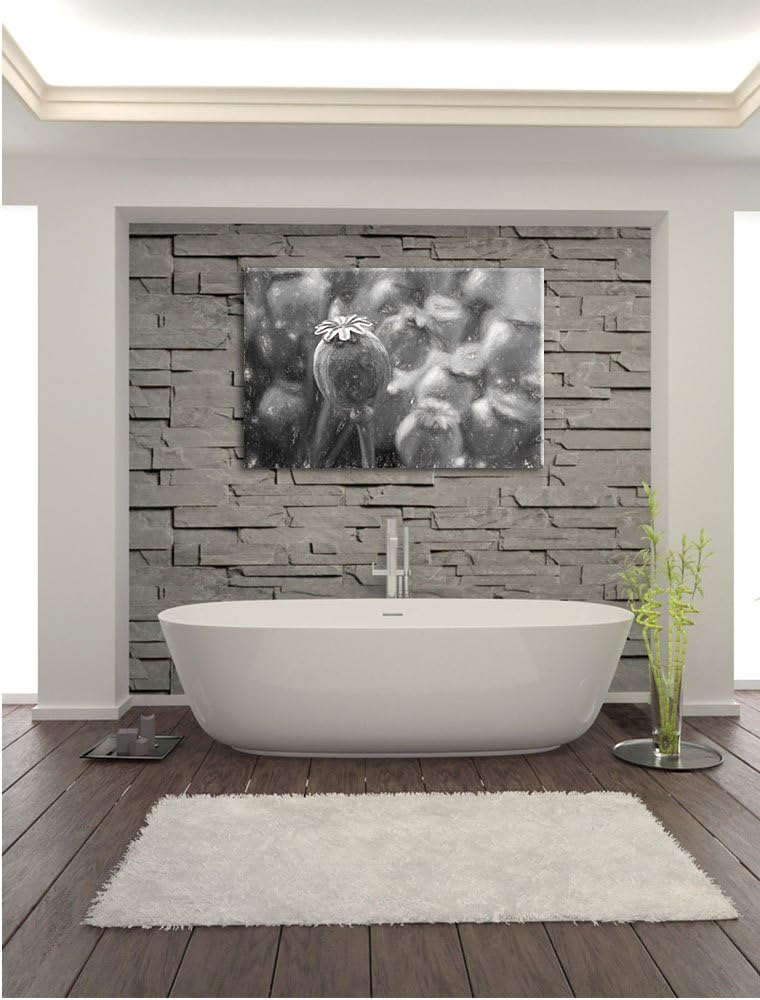 Pixxprint Mohnkapsel der Mohnblume Kunst als Leinwandbild/Grösse: 100x70 cm/Wandbild/Kunstdruck/fert