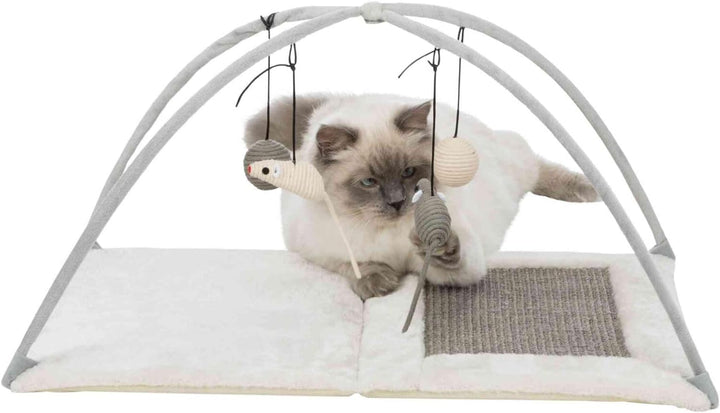 Trixie Katzenspielmatte mit Spielzeug und Sisal-Kratzfläche, Grau (43114), Norme, Grau