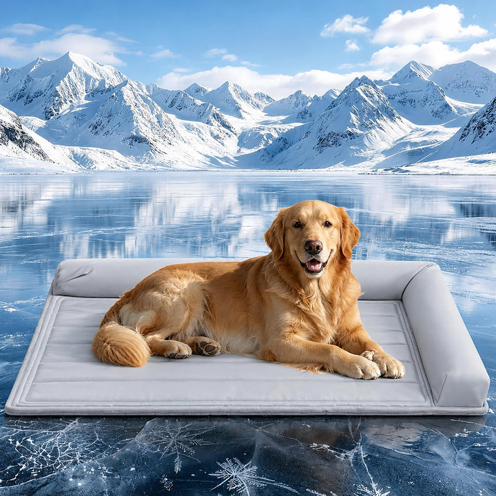 Kühlmatte Hund,70cmx53cm 2026 Neu Kühlmatte für Den Sommer,Selbstkühlende Hundematte,Waschbar kühlma