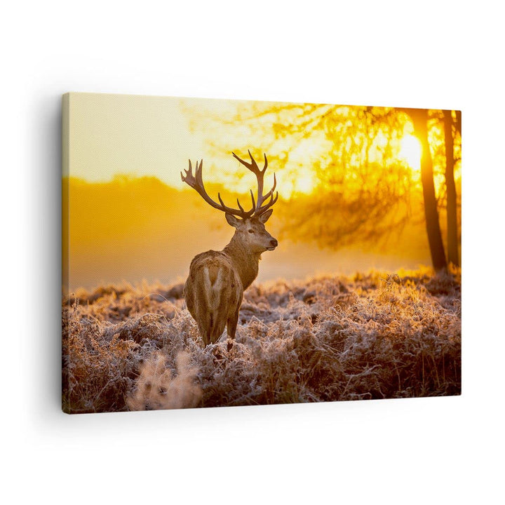 Bilder auf Leinwand Herbst landschaft natur blatt Leinwandbild 70x50cm Wandbilder Dekoration Wohnzim