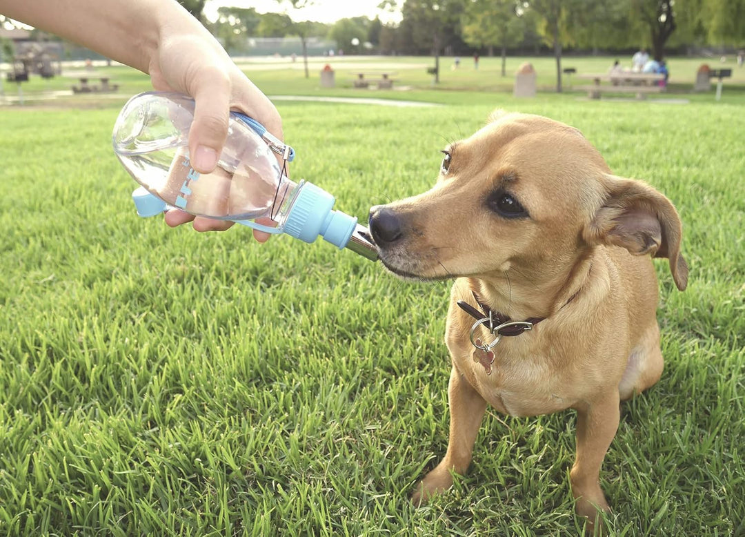 Choco Nose H258 Moderne tragbare Wasserflasche für Haustiere, Kleiner Hund (bis zu 30 kg), Katze, Ka