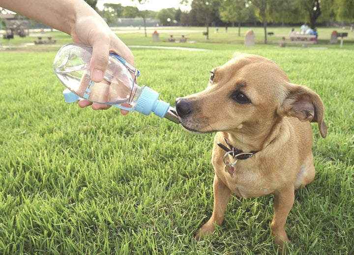 Choco Nose H258 Moderne tragbare Wasserflasche für Haustiere, Kleiner Hund (bis zu 30 kg), Katze, Ka