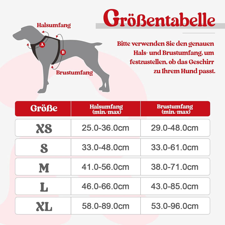rabbitgoo Hundegeschirr Mittelgrosse Hunde Anti Zug Geschirr Hund mit Kontrolle No Pull Verstellbar