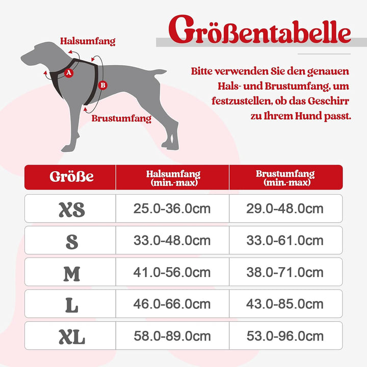 rabbitgoo Hundegeschirr Mittelgrosse Hunde Anti Zug Geschirr Hund mit Kontrolle No Pull Verstellbar