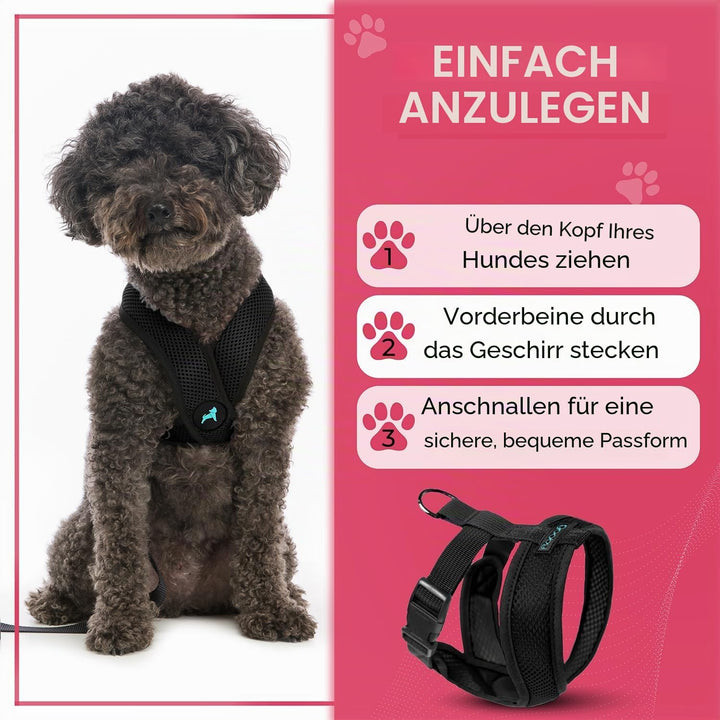 Gooby Choke Free Comfort X Hundegeschirr, weich, Grösse S, Schwarz 11.75-15.5" schwarz, 11.75-15.5"