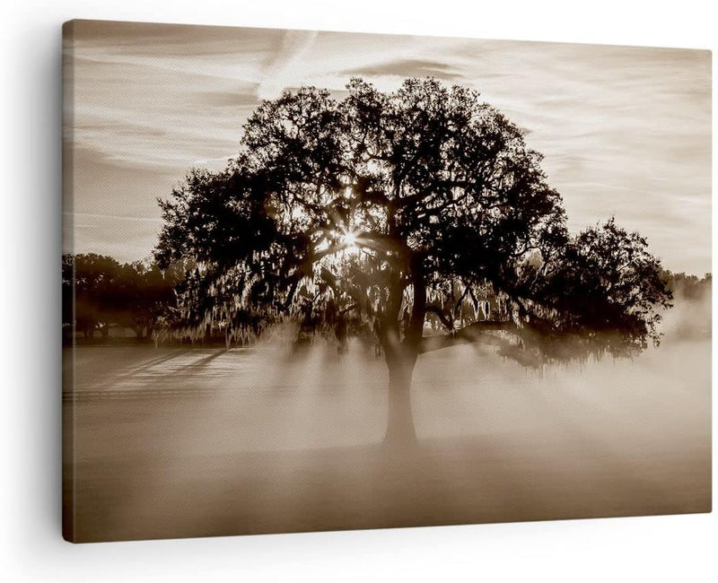 Bilder auf Leinwand Baum Feld Natur Leinwandbild mit Rahmen 70x50cm Wandbilder Dekoration Wohnzimmer