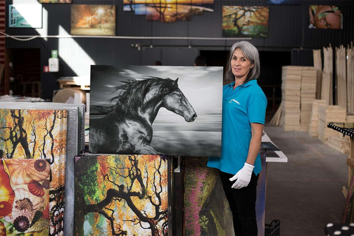 Startonight Bilder Schwarzes Pferd Läuft - Leinwandbilder Moderne Kunst - Tiere Wanddeko Kunstdrucke