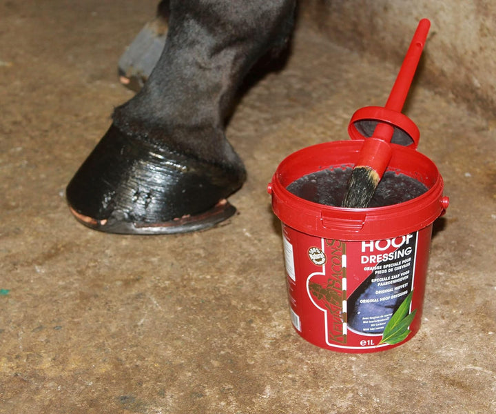 Kevin Bacon's Hoof Dressing