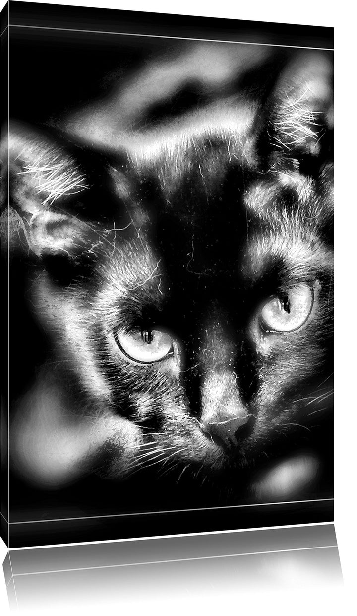 Pixxprint schöne Schwarze Katze als Leinwandbild/Grösse: 100x70 cm/Wandbild/Kunstdruck/fertig bespan
