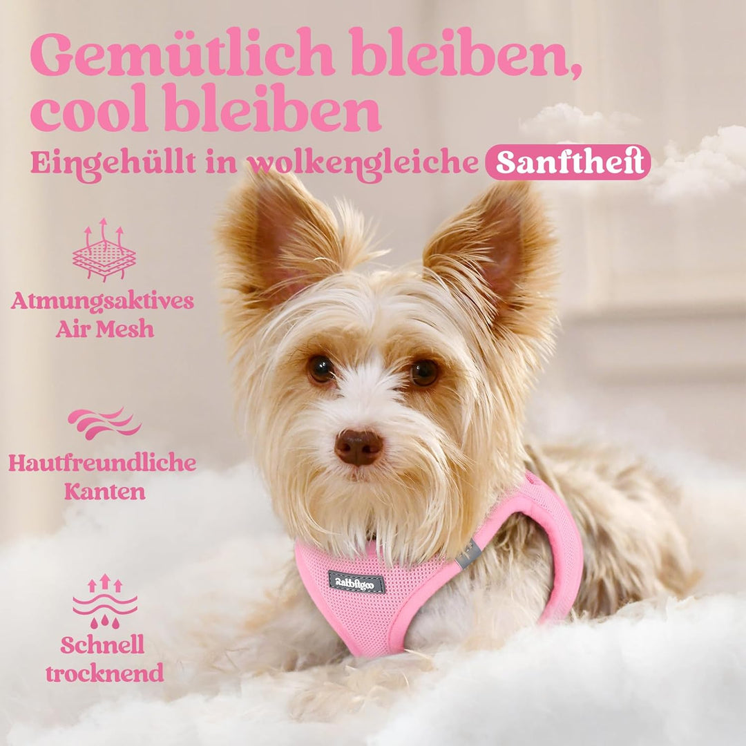 rabbitgoo Hundegeschirr Kleine Hunde, Step-in Welpengeschirr Weich Mesh für Spaziergänge, Atmungsakt