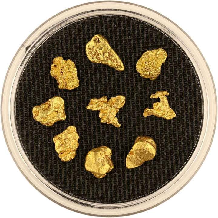 10 Gramm Echte XXL Goldnuggets aus Alaska mit Echtheitszertifikat in edler Münzdose, 10 Gramm