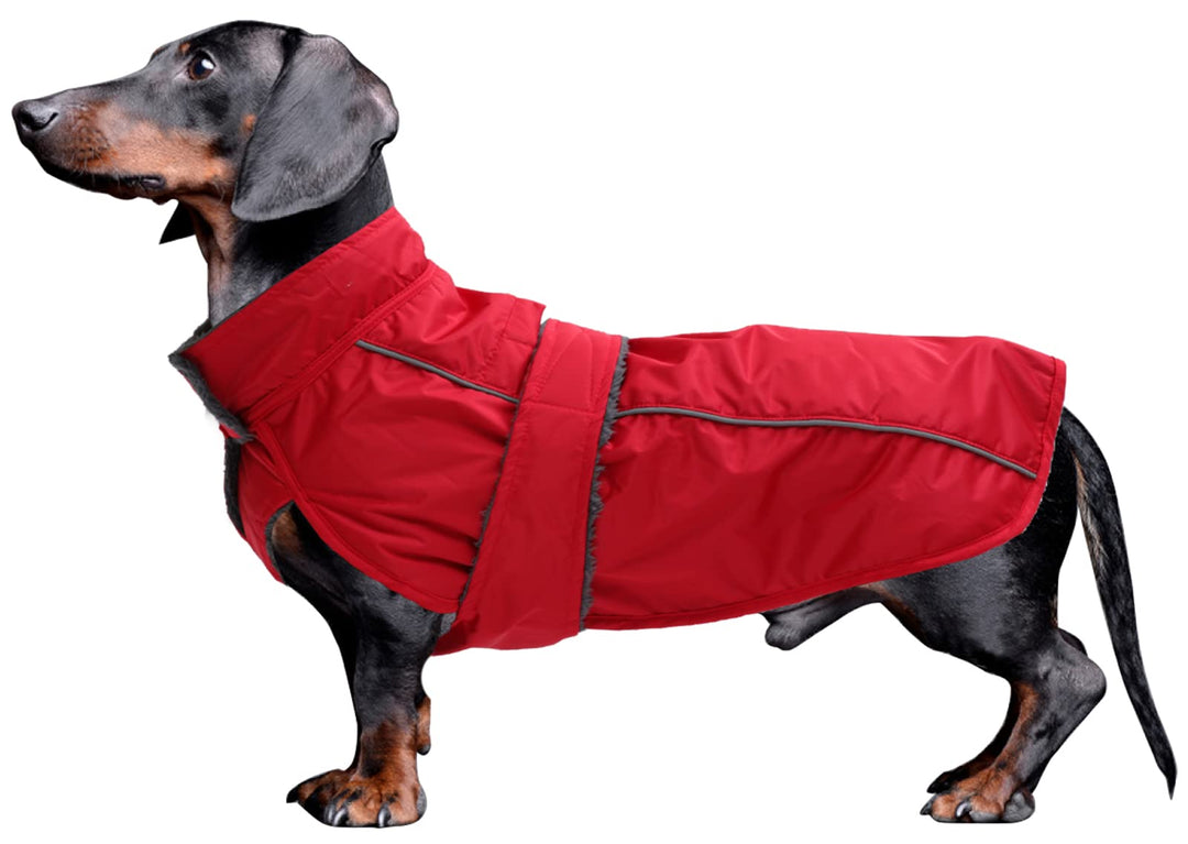 Morezi Dachshund Regenmantel, wasserdichte Aussenschicht, Fleecefutter, reflektierende Besätze, Vers