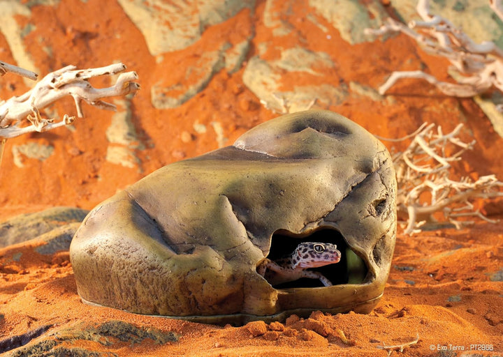 Exo Terra Gecko Höhle für Reptilien, gross Large, Large