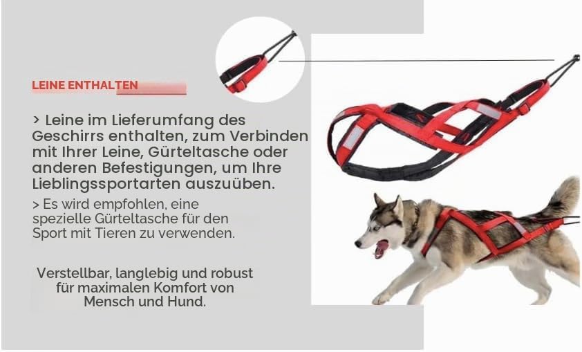 Total Sportgeschirr mit Hund, Laufen, Canicross, Schlitten, Mushing, Fahrrad, Roller... (M, Rot) M R