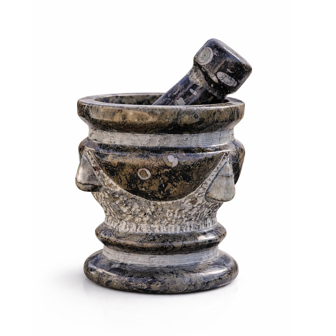 Budawi® Orthoceras Gewürz Mörser mit Stössel – Handgefertigter Küchenmörser aus Naturstein – Fossile