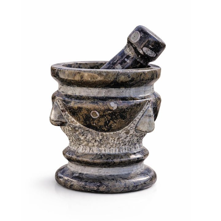Budawi® Orthoceras Gewürz Mörser mit Stössel – Handgefertigter Küchenmörser aus Naturstein – Fossile