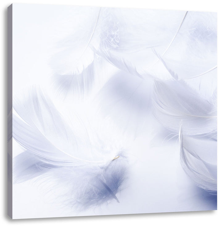 Pixxprint Weisse Feder auf schwarzem Stein als Leinwandbild | Grösse: 70x70 cm | Wandbild | Kunstdru