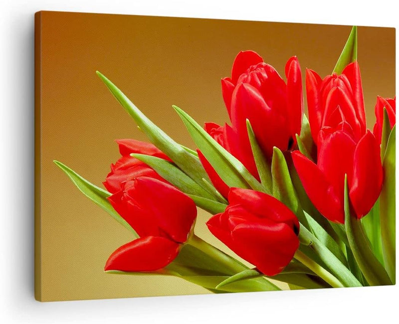 Bilder auf Leinwand Tulpen Blumen Feld Plantage Leinwandbild 70x50cm Wandbilder Dekoration Wohnzimme