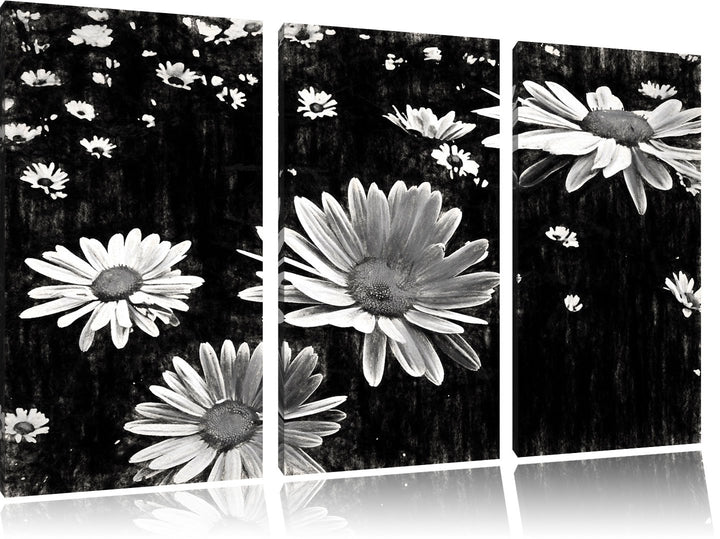 viele kleine Margariten schwarz/weiss Deluxe 3-Teiler Leinwandbild 120x80 Bild auf Leinwand, XXL rie