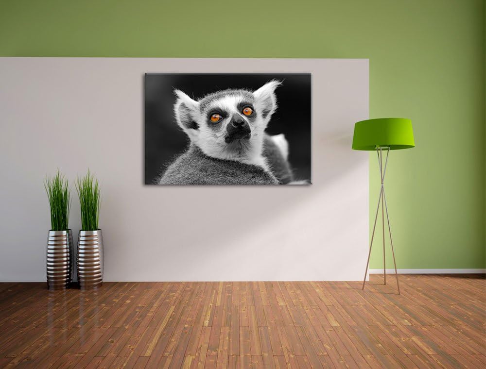 Pixxprint bildschöner Katta schwarz/weiss auf Leinwand, XXL riesige Bilder fertig gerahmt mit Keilra