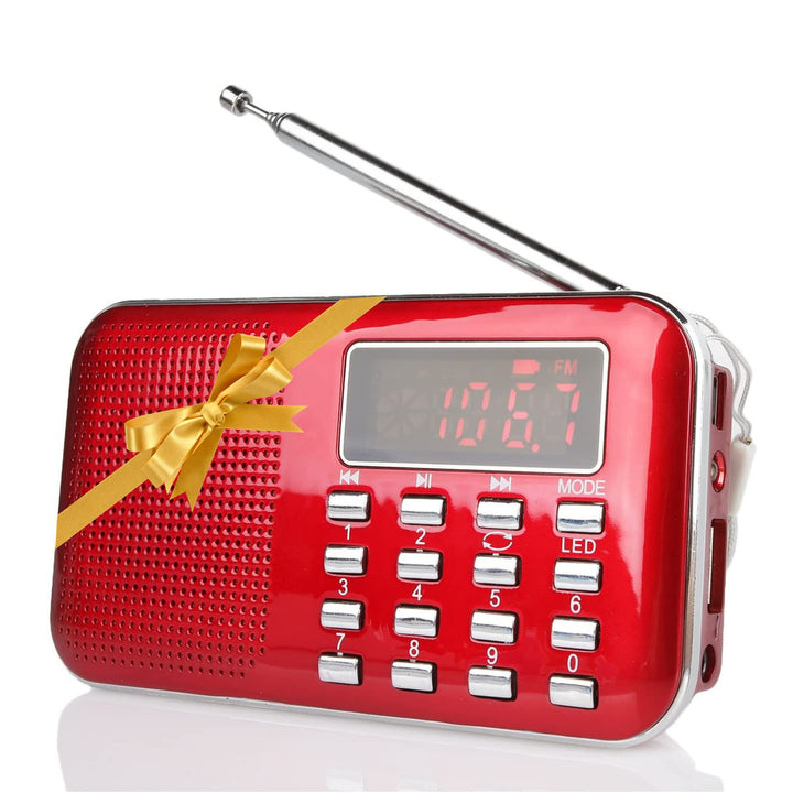 Raddy RF23 Tragbar Radio Klein AM/FM Kurzwellenempfänger MP3 Musik Player, unterstützt Mikro USB TF