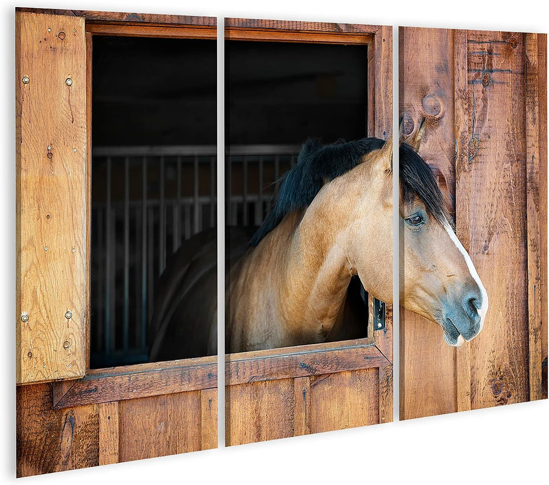 islandburner Bild auf Leinwand Braunes Pferd Schaut Neugierig Aus Fenster Kinderzimmer Bilder Wandbi