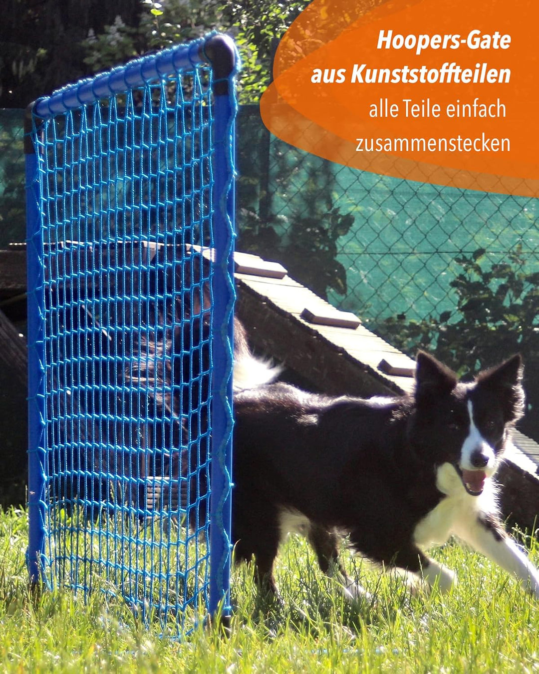Hoopers-Gate – Blau – 100×90cm – mit weissem Netz – wetterfest & leicht – für Hoopers-Parcours, Blau