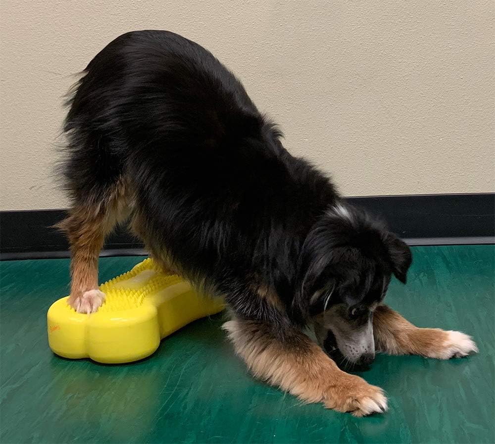 DOG Copenhagen Fitpaws Mini K9 Bone Instabilitätsscheibe für Propriozeption