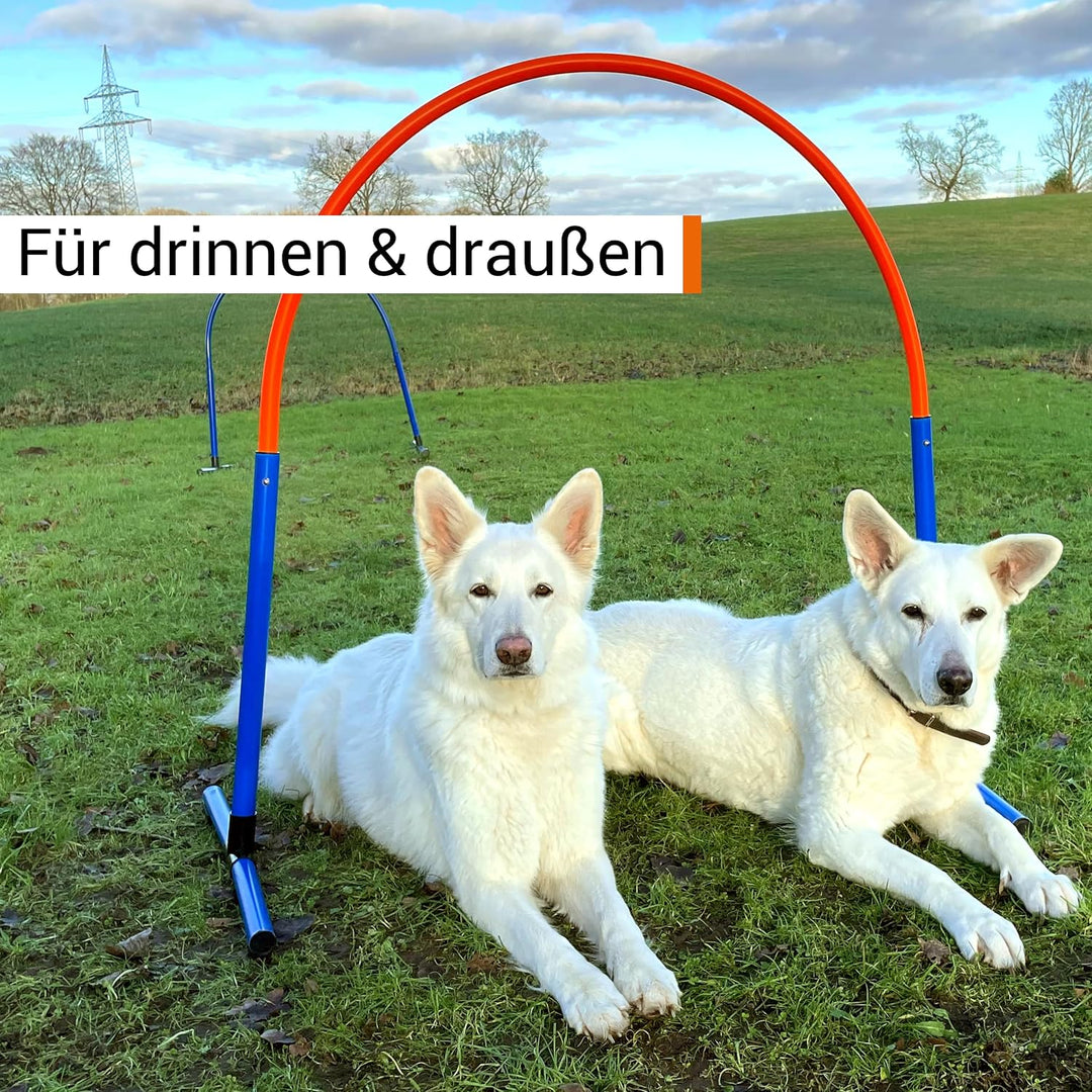 Hoopers Hoop – wetterfest, VDH-konform &amp; farbig – mit Stecksystem für sicheres Hundetraining – aus r